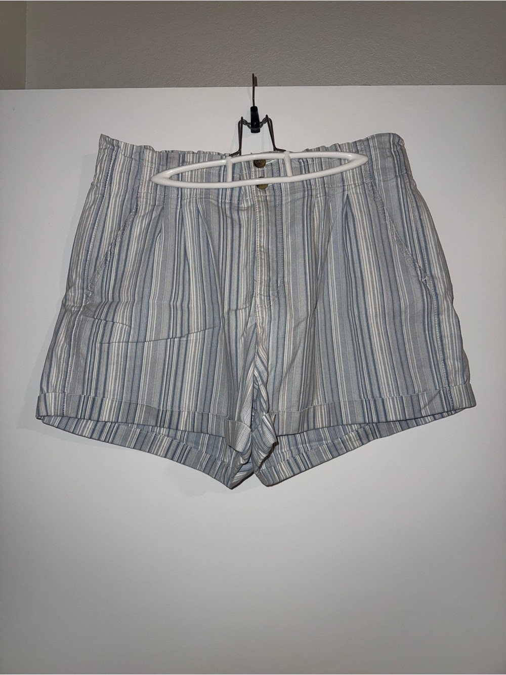 American Eagle Outfitters Blue and Gray Striped Women's Shorts